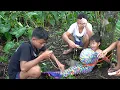 Download Lagu YA AMPUN KASIHAN BANGET DUYUNGNYA SEMUA SIRIPNYA DIAMBIL