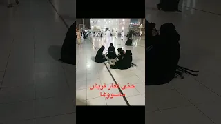 شاهد حتا كفار قريش ماسوا نفس البنات هذو 