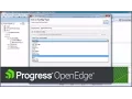 OpenEdge Using ABLUnit for Testing