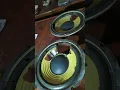 Politrin PSW 300 speaker