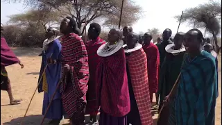 Maasai Dances Is Part Of Tanzania Safari Holiday Your Safari Booking Package Includes A Maasai Trip 