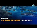 Download Lagu Togean, A Hidden Paradise in Sulawesi