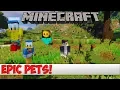 Minecraft Plugin Tutorial - Epic Pets