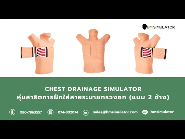 S042 หุ่นฝึกการใส่สายระบายทรวงอก / Chest Drainage Simulator