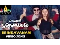 Lagu Palanati Brahmanaidu Video Songs | Brindavanam lo Video Song | Bala Krishna | Sri Balaji Video
