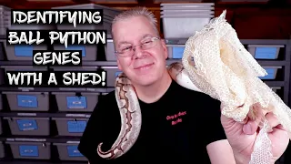 Identifying Genes in Ball Pythons Using a Shed Skin