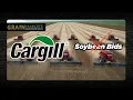 Why Did Cargill Stop Buying Soybeans from Brazilian Farmers
