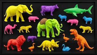 UNBELIEVABLE‼️Membersaihkan Hewan Berlumpur Dinosaurus,T-rex,Mosasaurs,Italian Brainrot,Jerapah,Sapi