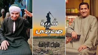 الأغنية اللى كله بيدور عليها شيبة صعيدى للنجم أحمد شيبة و الموسيقار عماد بسيوني لايف 