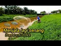 Download Lagu Menjala Di Anak Sungai Langat #gengdunia 