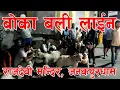 Download Lagu राजदेवी मन्दिरमा खसी चढाउनेको भिड | जनकपुरधाम | राजदेवी मन्दिर | Rajdevi Mandir | Jankpurdham |