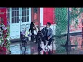 Download Lagu 【2024 KGMA】이영지 (Lee Young Ji) x 도경수 (Doh Kyung Soo) (D.O.) 'Small girl' 4K Fancam 직캠 241116