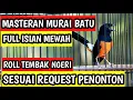 Lagu MASTERAN MURAI BATU FULL ISIAN TEMBAKAN CILILIN SAMBUNG KAPAS TEMBAK KENARI CUNGKOK LOVEBIRD CIGUN