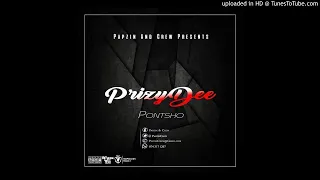 prizydee ancestral voices afro tech mix 