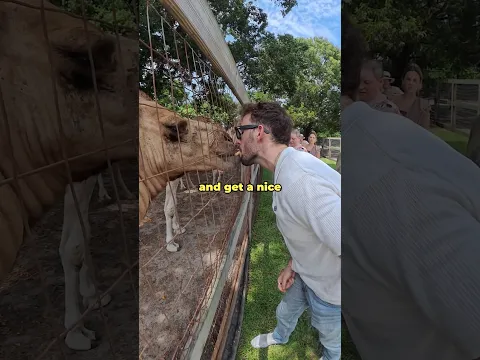 I Booked A VIP Animal Tour