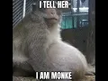 Download Lagu she said do you love me i tell her i am monke