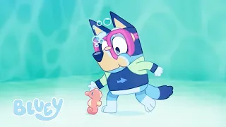 Poolen 🤿 💙 | Hele Afsnittet | Bluey På Dansk