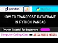How to Transpose a DataFrame in Python Without Index Python Pandas Tutorial for Beginners