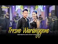 Download Lagu Tresno Waranggono Idien Pradipta FT Novi Novita - Pahalla Music