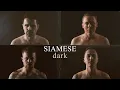 Siamese - dark Visualizer