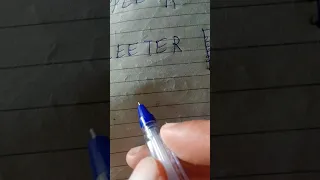 mirror image essay trick for reasoning in punjabi