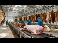 Inside the Forbidden U.S. Cow Leather Factory – From Living Cow to $50,000 Luxury Bag (Full Process)