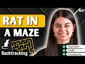 Rat in a Maze Problem Backtracking