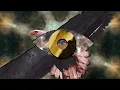 Robin Trower - Day Of The Eagle [Official]