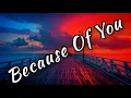 Download Lagu 98` - Because Of You (Lyric'S)