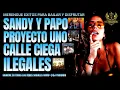 Sandy Y Papo - Proyecto Uno - Calle Ciega - Ilegales - Merengue Mix @Dj_Yohandri_El_De_Yaracuy