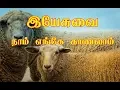 Download Lagu இயேசுவை நாம் எங்கே காணலாம் | Yesuvai Naam Engae Kanalam |