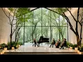 [No Ads] Uplifting Morning Piano Music 🌿 | Fresh & Positive Energy Classic BGM | Elise Piano