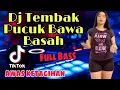 Dj Terbaru 2022 || Dj Tembak Pucuk Bawah Basah || Dj Tik tok Viral Terbaru 2022 ||  no copyright