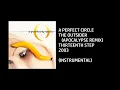 A Perfect Circle - The Outsider (Apocalypse Remix) [Custom Instrumental]