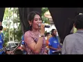 Download Lagu Serigala Berbulu Domba - Winda Puji (cover) - Seven Laskar Dangdut