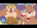 Lagu टॉम एंड जेरी हिंदी में 🇮🇳 | स्पाइक और टाइक के सर्वश्रेष्ठ पल 🐶🐶 | WB Kids