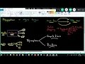 28 POLYMORPHISM Complete Java Mastery From Basics to Advanced Programming