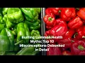 Top 10 Health Myths Debunked