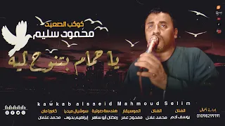 أغنية   يا حمام بتنوح ليه   وشوية صعيدي دمار   كوكب الصعيد محمود سليم الموسيقار ممدوح عمر دندنها