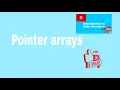 Pointer Arrays