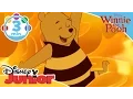 Download Lagu The Mini Adventures of Winnie the Pooh | The Honey Song | @disneykids
