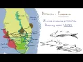 The Everglades Historical Flow
