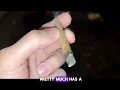 GREASE MONKEY X TINA STRAIN REVIEW HIGH SUPPLY