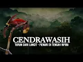 Download Lagu Cendrawasih: Burung Bersinar yang Turun dari Langit di Hutan Papua