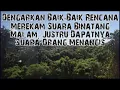 Lagu SUARA ANEH DARI DALAM HUTAN MALAM HARI