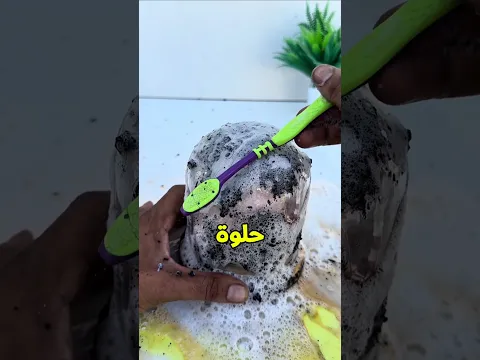 بابا راح يشتريلي هدية بس مكنتش معاه فلوس وراح جاب هدية من الزبالة🥺💔؟