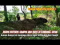 Download Lagu kuasa tuhan.! buaya bertapa sampai jadi batu di jombang jatim | watu bajol sendangrejo banjardowo