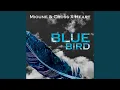 Download Lagu Blue Bird
