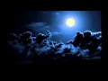Download Lagu Night Sounds 10 Minutes