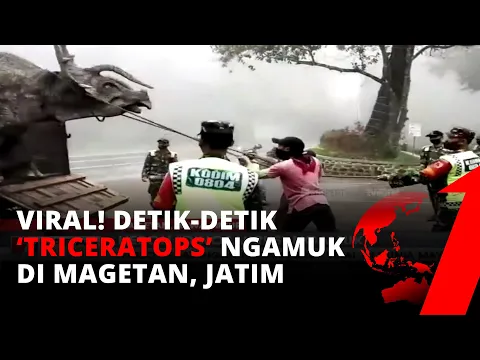 Boleh Percaya Boleh Tidak! Detik-detik Dinosaurus Ngamuk Saat Hendak Dievakuasi | tvOne